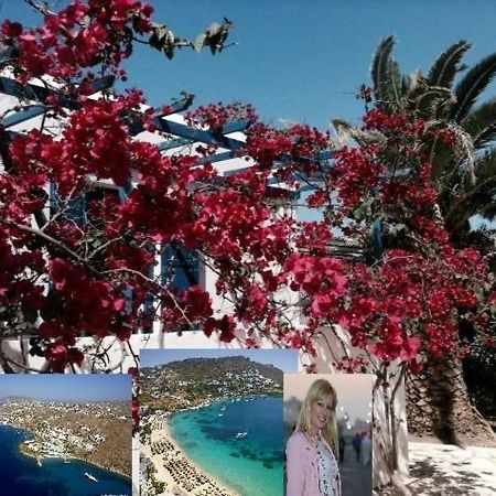 Magical Ornos! Beach House!Beach 1' Walk-Mykonos Town 2Km 외부 사진