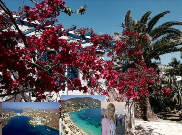 Magical Ornos! Beach House!Beach 1' Walk-Mykonos Town 2Km 외부 사진